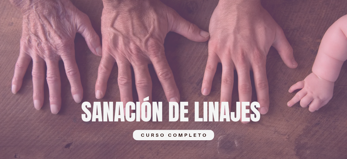 Portada del curso